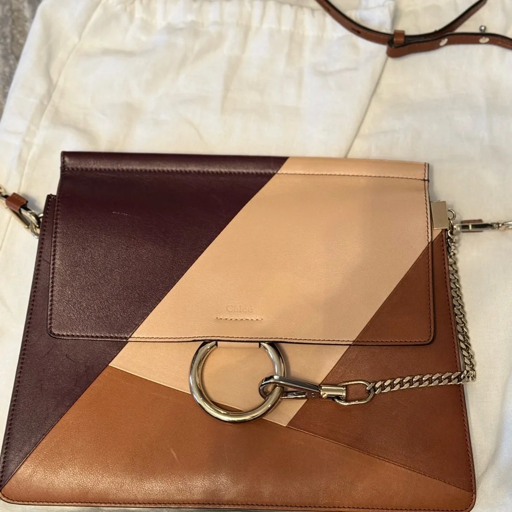 RARE Colorway Chloe Faye Patchwork Calfskin Bag - Picture 2 of 11